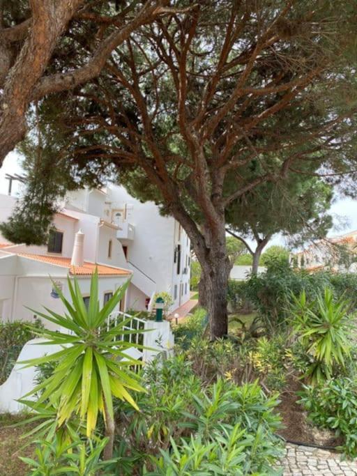 Albufeira Falesia Beach Apartment المظهر الخارجي الصورة